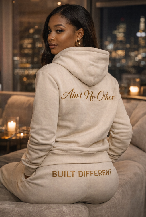 1/1 Hoodie — Aint No Other